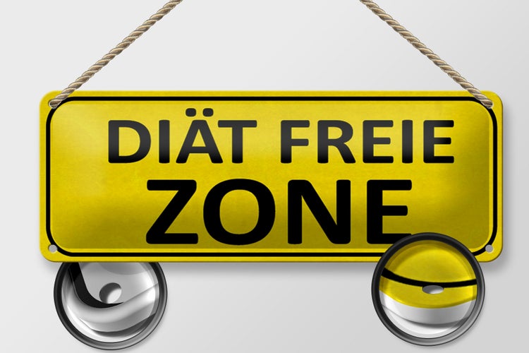 Blechschild Spruch 27x10cm Diät freie ZONE Dekoration