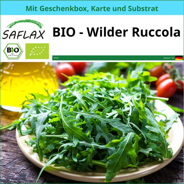 SAFLAX Geschenk Set - BIO - Wilder Ruccola - Diplotaxis tenuifolia - 1500 Samen - Mit Geschenkbox, Versandaufkleber, Geschenkkarte und Anzuchtsubstrat