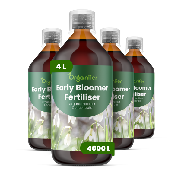 Organifer Early Bloomer Flüssigdünger Konzentrat, 4 Liter, organischer Dünger für Frühblüher, ausreichend für 4000 Liter.
