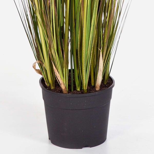 Künstliches Ziergras in einem schwarzen Kunststofftopf.