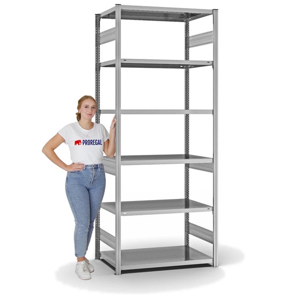 PROREGAL Fachbodenregal Stecksystem T-Profil Heavy-Duty Grundregal HxBxT 250 x 100 x 60 cm 6 Ebenen Fachlast 330 kg Beidseitig Nutzbar Verzinkt