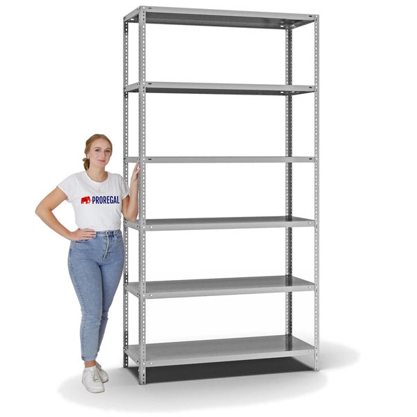 PROREGAL Fachbodenregal Schraubsystem Light-Duty Grundregal HxBxT 250 x 130 x 50 cm 6 Ebenen Fachlast 125 kg Beidseitig Nutzbar Verzinkt