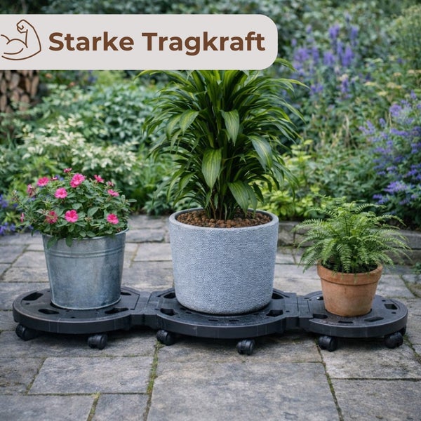 Drei Pflanzen in Töpfen auf einem Pflanzenroller mit hoher Tragkraft im Garten.