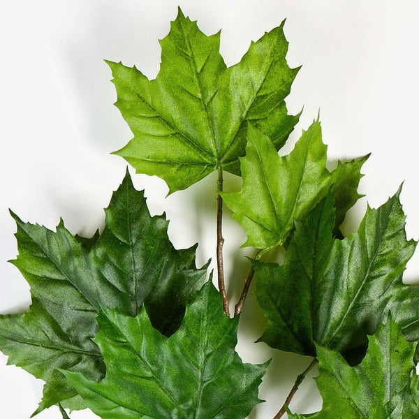 Detailansicht einer künstlichen Sukkulente mit fleischigen grünen Blättern aus Kunststoff.