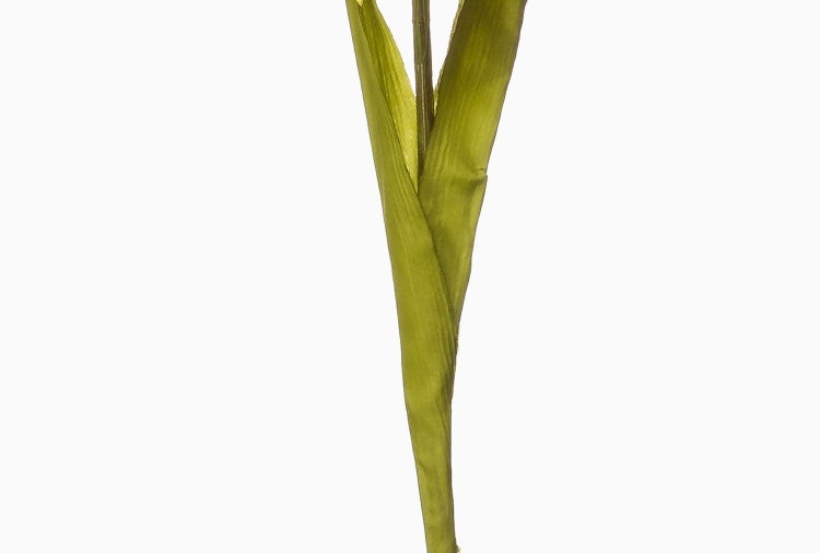 Nahaufnahme einer künstlichen Gladiole mit grünen Knospen und einer hellen Blüte.