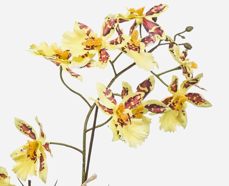 Künstliche Oncidium Orchidee im grauen Topf in Betonoptik mit gelben Blüten.
