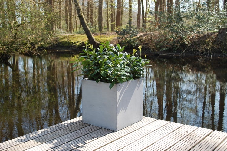 Quadratischer grauer Pflanzkübel mit grüner Pflanze auf einem Holzdeck an einem Fluss im Wald.