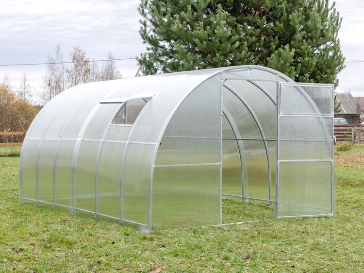 Tunnel-Gewächshaus aus Polycarbonat mit verzinktem Stahlrahmen, offener Tür und Dachfenster im Garten.