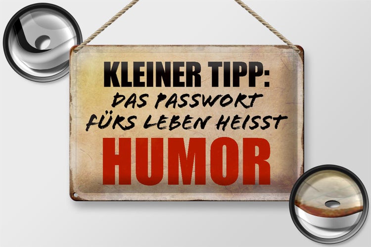 Blechschild Spruch 30x20cm kleiner Tipp das Passwort Humor
