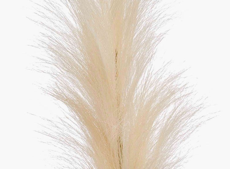 Künstliches Pampasgras in Beige mit flauschigen Wedeln zur Dekoration.