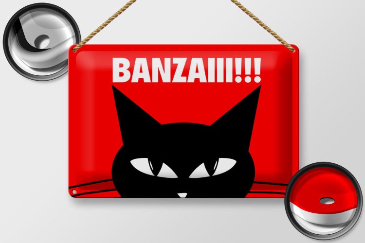 Blechschild Spruch 30x20cm Katze Banzaiii