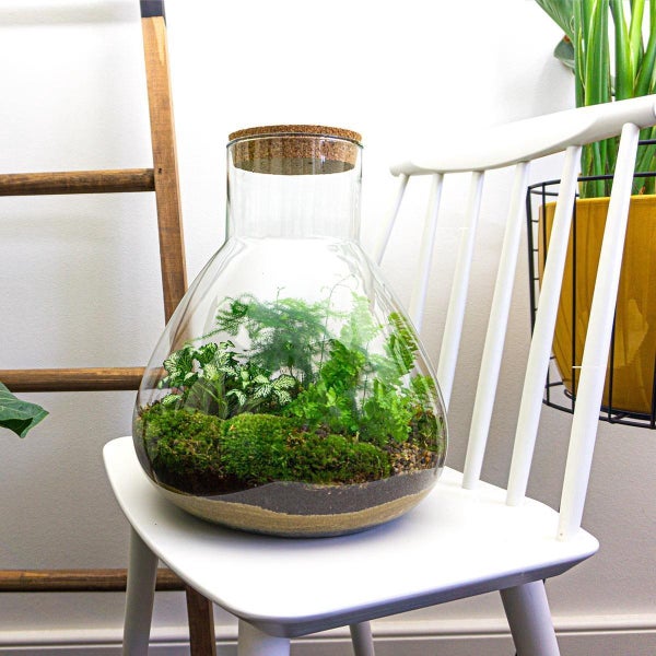Flaschengarten Sam XL - DIY-Pflanzenterrarium - 35cm - incl. Rechen, Schaufel, Pinzette und Schere
