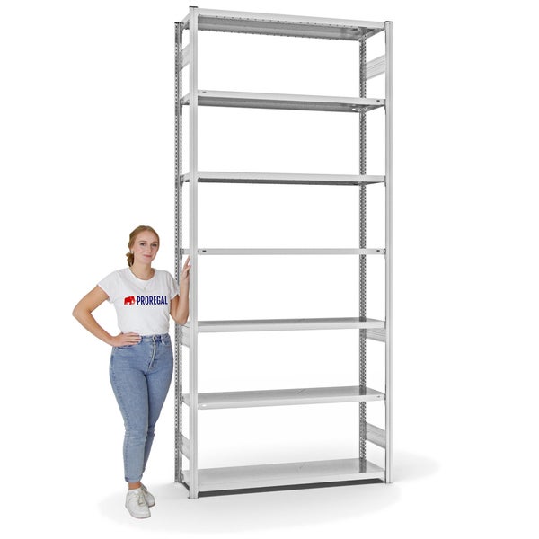 PROREGAL Fachbodenregal Stecksystem T-Profil Medium-Duty Grundregal HxBxT 300 x 130 x 40 cm 7 Ebenen Fachlast 215 kg Beidseitig Nutzbar Lichtgrau