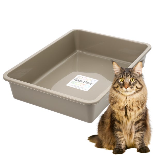 GarPet Katzenklo Schalentoilette aus Kunststoff mit einer Katze zur Veranschaulichung der Größe