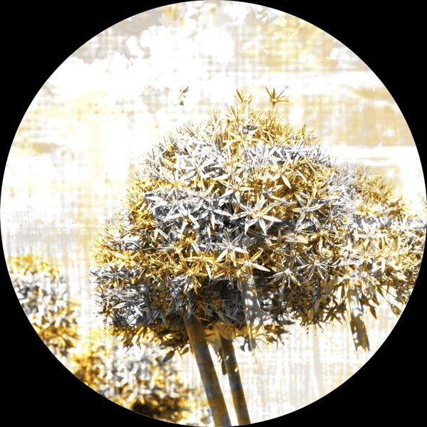 Nahaufnahme einer Alliumblüte in einem Garten