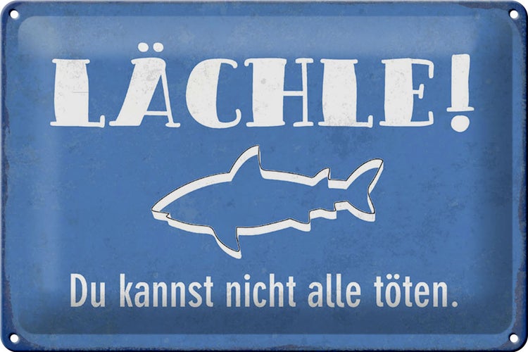 Blechschild Spruch 30x20cm lächle Du kannst nicht alle