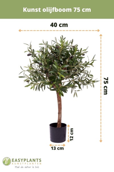 Zwei Gartenliegen und ein Tisch für den Außenbereich.
