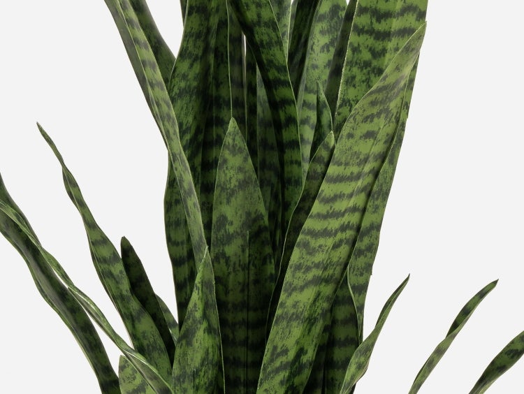 Künstliche Pflanze Sansevieria Bogenhanf mit grün gemusterten Blättern im schwarzen Kunststofftopf.