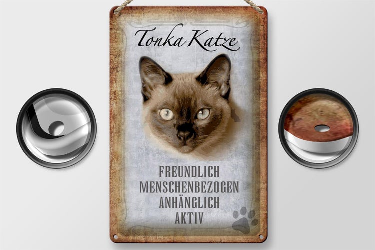 Blechschild Spruch 20x30cm Tonka Katze Schild deko