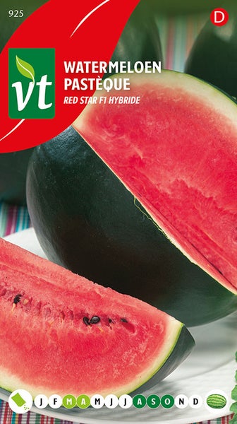 Wassermelone Red Star F1 Hybrid