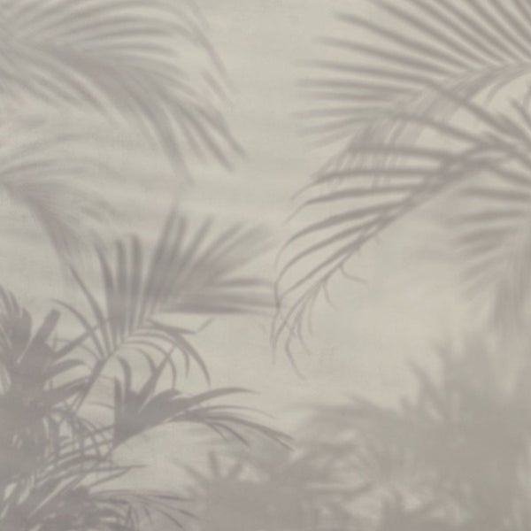 Schatten von Palmen auf einer Wand