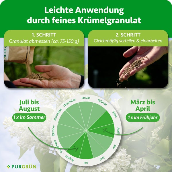 Blauer hydraulischer Wagenheber von BGS Technic unter einem Fahrzeugchassis auf Betonboden neben einem Reifen.