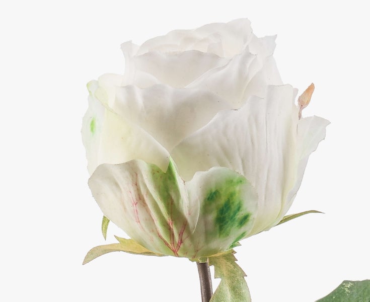 Künstliche weiße Rose mit Blüte, grünen Blättern und Stiel für die Dekoration.