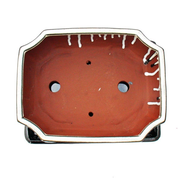 Bosch Expert Holzbohrer, 12 Millimeter