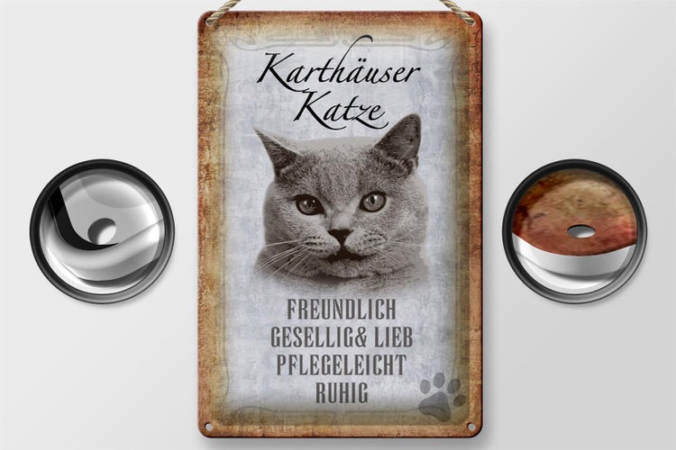 Blechschild Spruch 20x30cm Karthäuser Katze lieb Schild