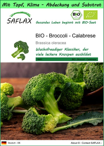 SAFLAX Garden to go - BIO - Broccoli - Calabrese - Brassica oleracea - 100 Samen - Mit Topf, Klima - Deckel und Anzuchtsubstrat
