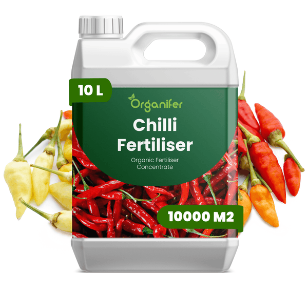 Organifer organischer Chili-Dünger Konzentrat im 10 Liter Kanister, ausreichend für 10000 Quadratmeter, mit Abbildung von Chilischoten.