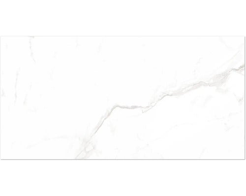 Wand- und Bodenfliese Opus Luce 60x120 cm glänzend rektifiziert