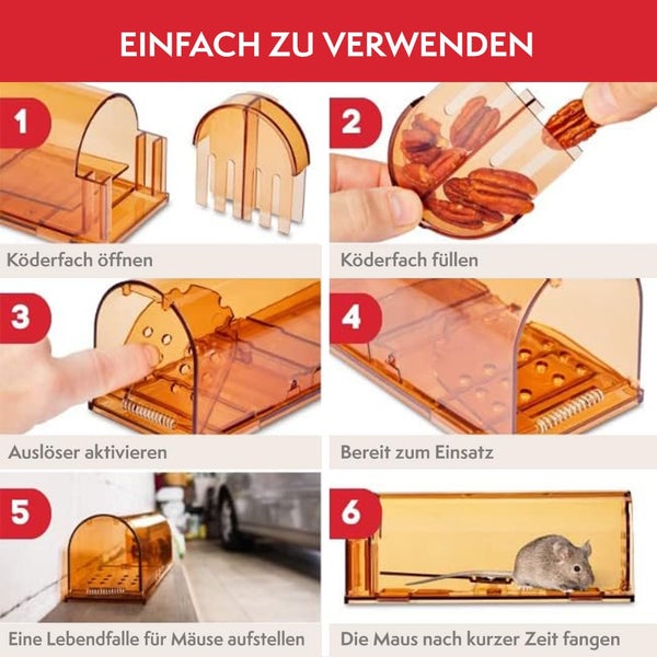 PATTLER® Mausefalle lebend - Extra große Lebendfalle Maus | Tierfreundlich Mäusefalle | Ratten oder Kleintiere Fangen - mit Luftlöchern | Einfache Aufstellung im Haus, Garage oder Garten - 1er Set
