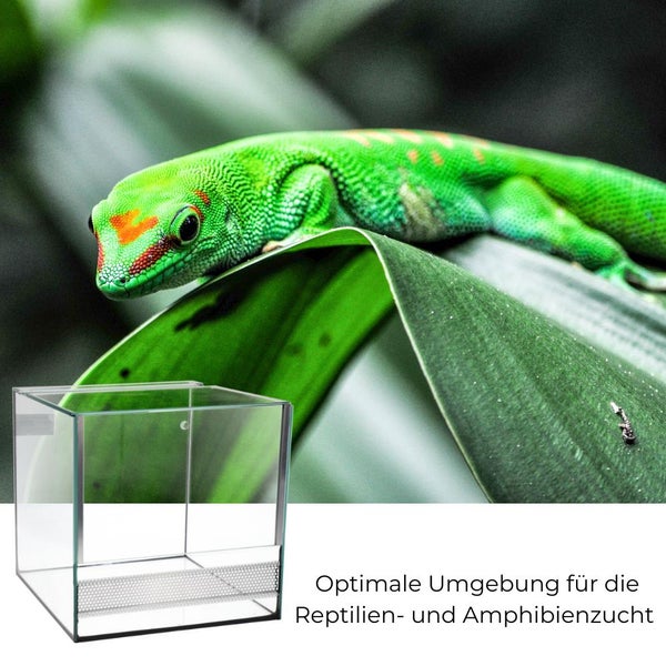 GarPet Glas Terrarium 30x30x30 cm Viviarium Pflanzen Terrarium Reptilien Amphibien Spinnen Glasterrarium mit Alu Belüftung Falltür