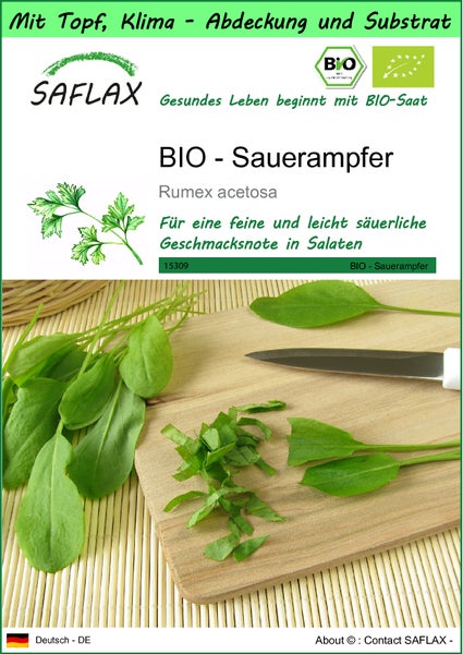 SAFLAX Garden to go - BIO - Sauerampfer - Rumex acetosa - 400 Samen - Mit Topf, Klima - Deckel und Anzuchtsubstrat