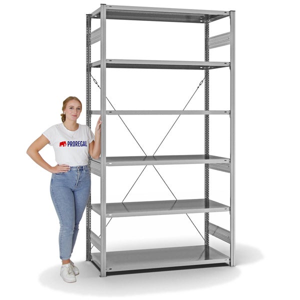 PROREGAL Fachbodenregal Stecksystem T-Profil Medium-Duty Grundregal HxBxT 250 x 130 x 60 cm 6 Ebenen Fachlast 240 kg Einseitig Nutzbar Verzinkt