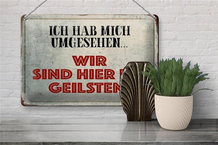 Blechschild Spruch 30x20cm wir sind die Geilsten Schild
