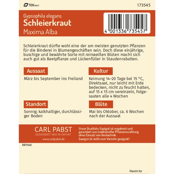 Schleierkraut Maxima Alba Samen von Pabst Keimkraft