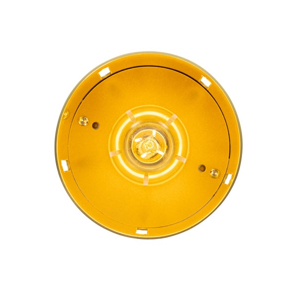 Ansicht einer runden Lampenfassung mit eingesetztem Leuchtmittel