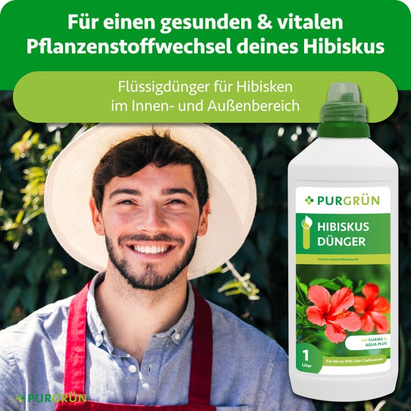 Purgrün Flüssigdünger für Hibiskus in der 1 Liter Flasche, geeignet für Pflanzen im Innen- und Außenbereich.