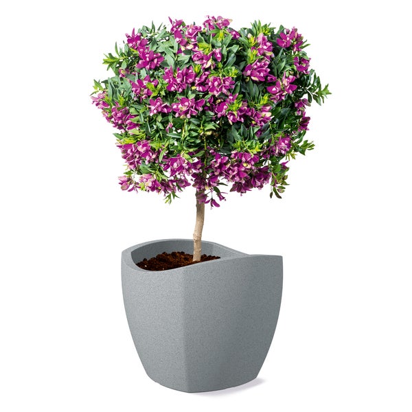 Scheurich Wave Globe Cubo 50, Pflanzgefäß/Blumentopf/Pflanzkübel, rund,  aus Kunststoff Farbe: Stony Grey, 49,5 cm Durchmesser, 44,4 cm hoch, 62 l Vol.
