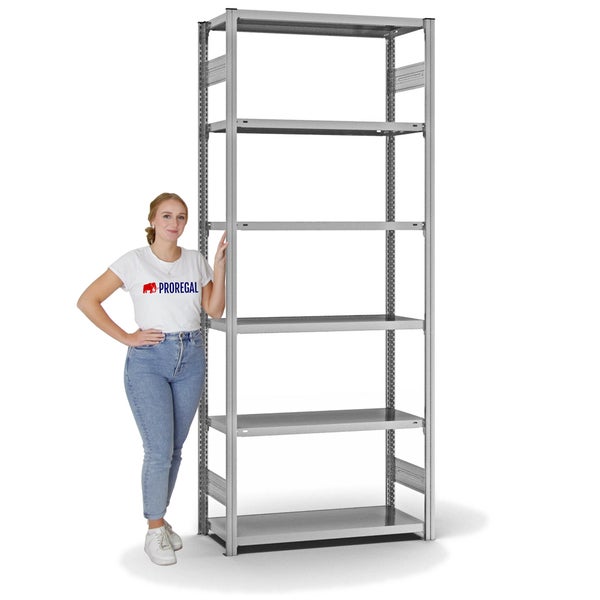 PROREGAL Fachbodenregal Stecksystem T-Profil Light-Duty Grundregal HxBxT 250 x 100 x 40 cm 6 Ebenen Fachlast 145 kg Beidseitig Nutzbar Verzinkt