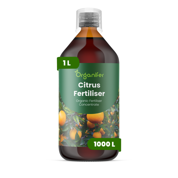 Organifer Wüstenrosen-Dünger, 10 Liter organisches Düngerkonzentrat für bis zu 10000 Quadratmeter.