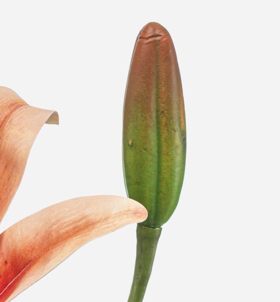 Nahaufnahme einer künstlichen Lilienknospe in Grün und Orange neben einem Teil der Blüte.
