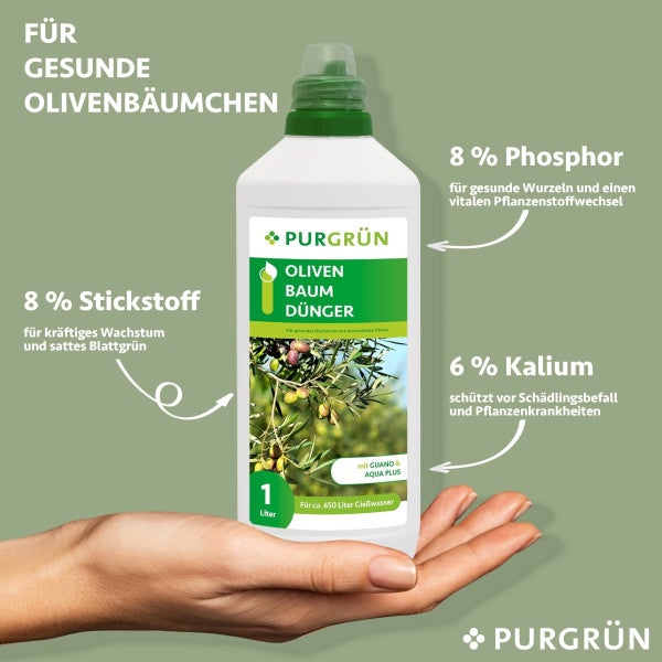 Purgrün Olivenbaum-Dünger 1 Liter
