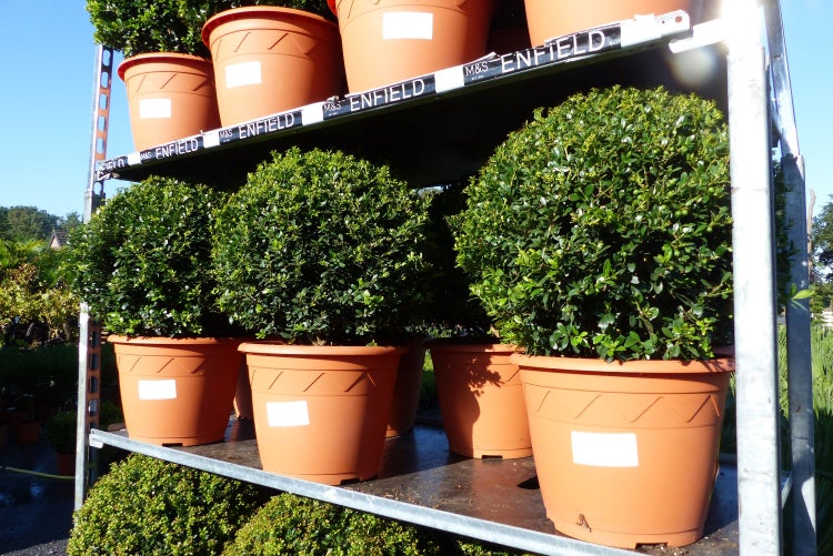 Picknicktisch aus Holz mit Metallgestell