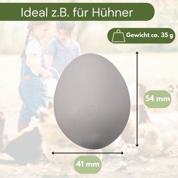 6x Legeeier Kunsteier Nesteier für Hühner Gipseier Bruteier Fasanen Enten Künstliche Eier Hühnereier Weiß