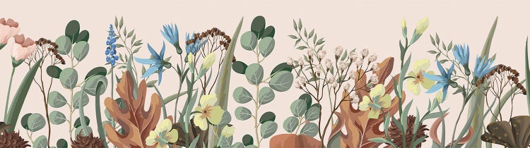 Tapetenbordüre mit botanischem Motiv, Illustration von Wildblumen, Eukalyptus und Blättern.