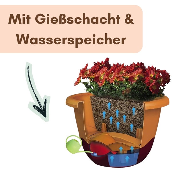 Querschnitt eines Blumentopfs mit Gießschacht und Wasserspeicher zur Illustration der Pflanzenbewässerung.