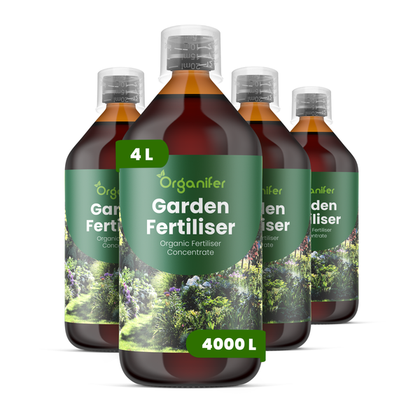 Vier Flaschen Organifer flüssiger Bio-Gartendünger Konzentrat, 4 Liter für 4000 Liter Düngerlösung.